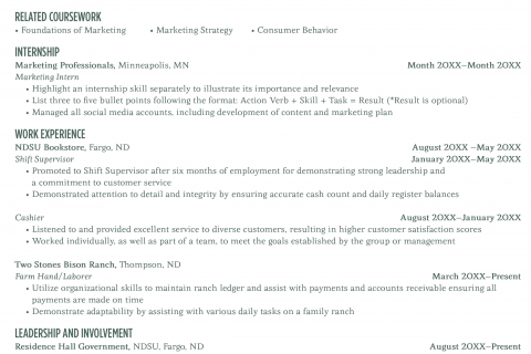 resume content example