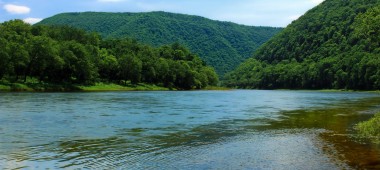 PennEnvironment